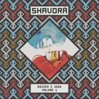 Cover art for Raizes E Asas, Vol. 1