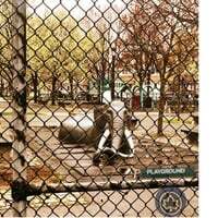 Cover art for pLaYgRoUnD