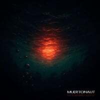 Cover art for Mourning Light