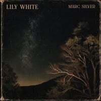 Cover art for Lily White