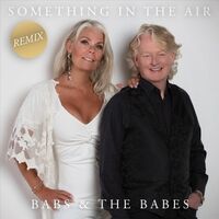 Cover art for Something in the Air (Remix)