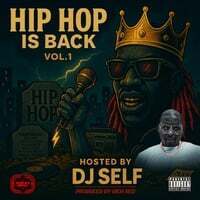 Cover art for Hip Hop Is Back, Vol. 1